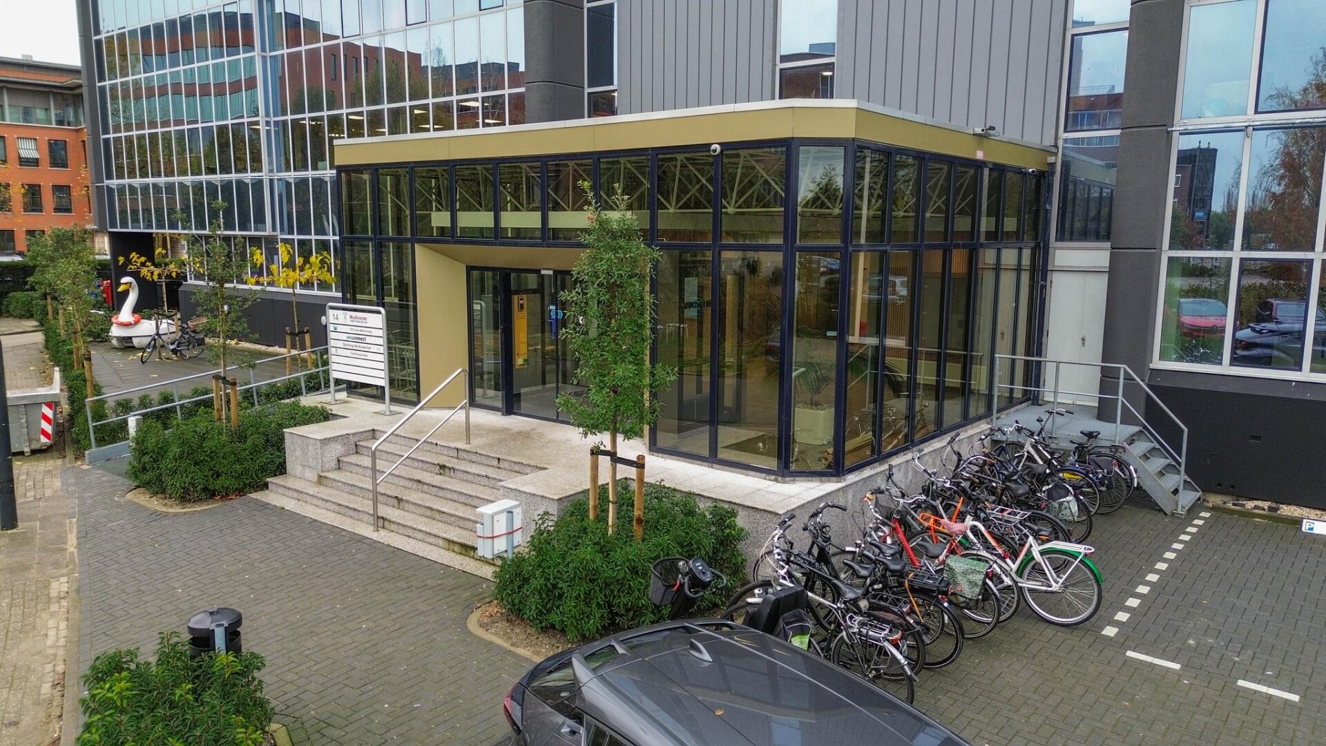 zwaan